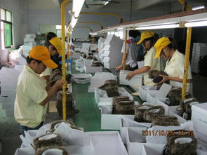 檢品工廠一站式服務 包裝、配送與家政支持一體解決方案